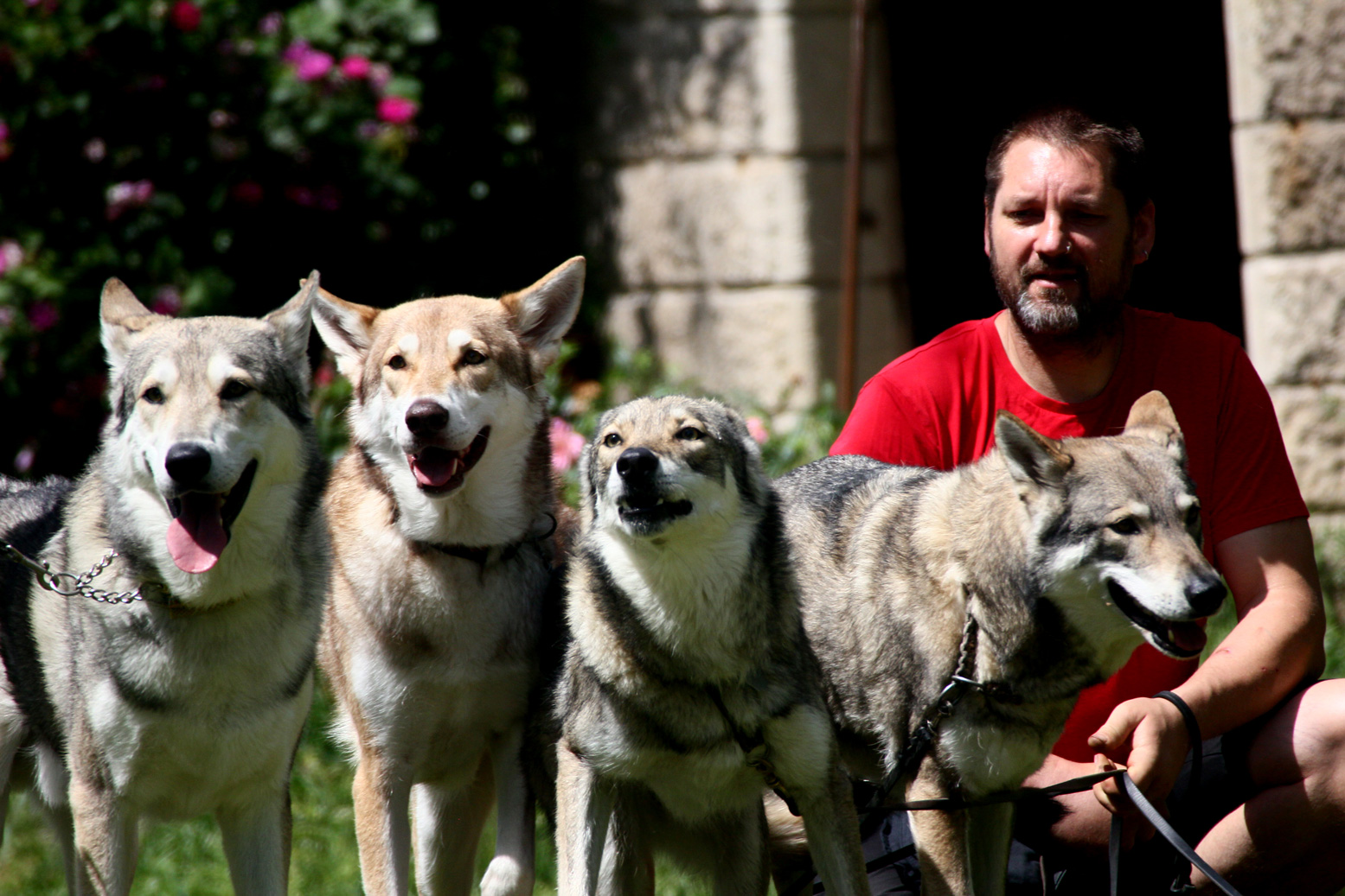 Henning Schloß Beichlingen